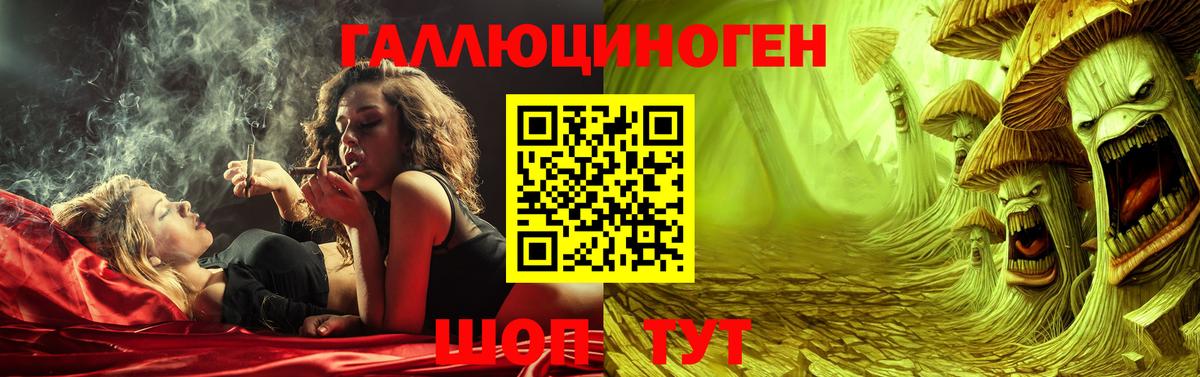 Бийск  Галлюциногенные грибы Psilocybe  хочу наркоту  Вход с VPN 